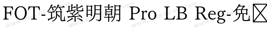 FOT-筑紫明朝 Pro LB Reg字体转换